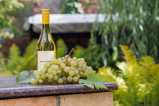 White Wine and Grapes with a Leafy Garden Background