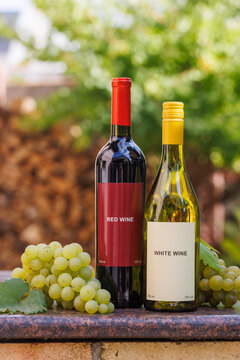 Red and White Wine with Grapes on a Garden Ledge