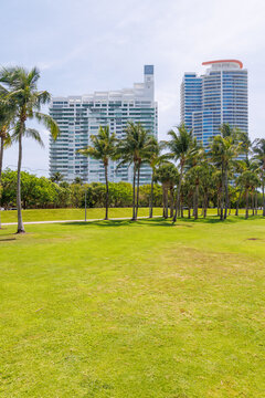 Green lawn with palms and Miami skyscrapers