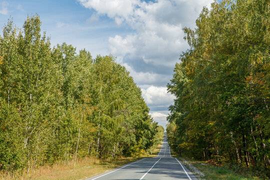 Country asphalt road in summer landscape