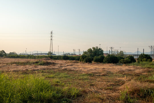 Dry cut vegetation pile in nature with electricity pylons in the background