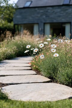 Stone path with daisies and wildflowers leading to modern house for garden background and landscape design