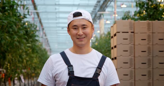 Portrait of a male greenhouse worker carrying freshly harvested tomatoes. Professional grower working with fresh produce in modern agriculture and horticulture.