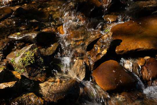 Water flowing over rocks in stream