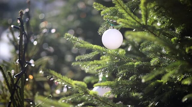 Close-up of Christmas tree branches with white ornaments and string lights gently moving and sparkling in sunlight