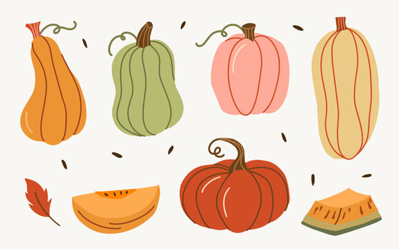 Hand Drawn Pumpkin Set Vector Illustration, Cute Autumn Squash Clipart For Thanksgiving, Aesthetic Fall Harvest Icon Set For Banner, Colorful Pumpkin Isolated