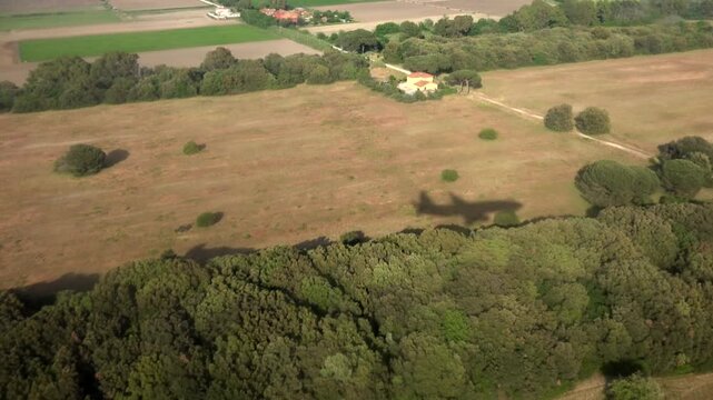 Aerial Airplane View Landing Plane in Airport Flying Aircraft Shade on Runway