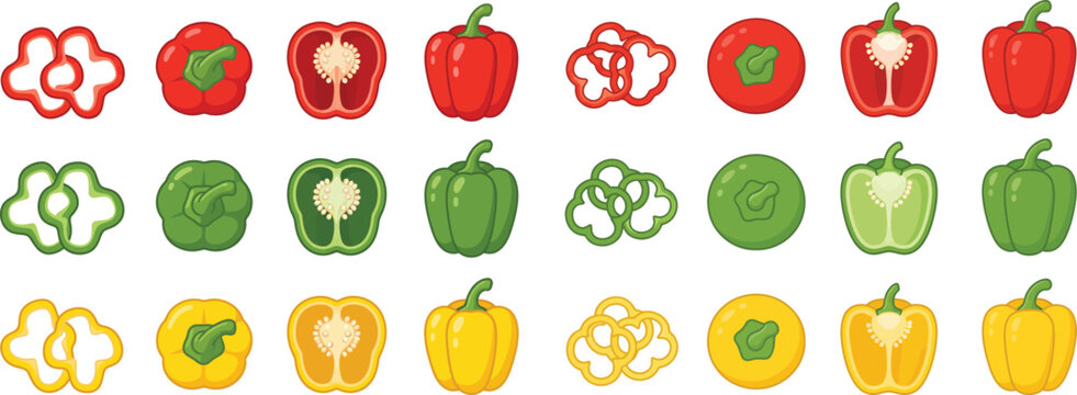Bell peppers in various forms and colors a vector illustration capsicum vegetable produce pepper sweet