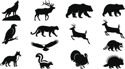 Obraz premium Set of black silhouettes of north american wildlife including wolf, bear, deer, eagle, mountain lion, raccoon, skunk, turkey, and porcupine