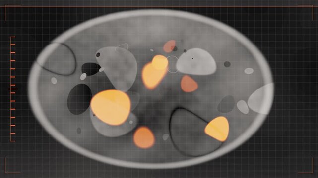 Abstract MRI Slice Scan Seamless Loop, Tomographic Cross Sections With Pseudo Color Medical Imaging Overlay in calm gray tones