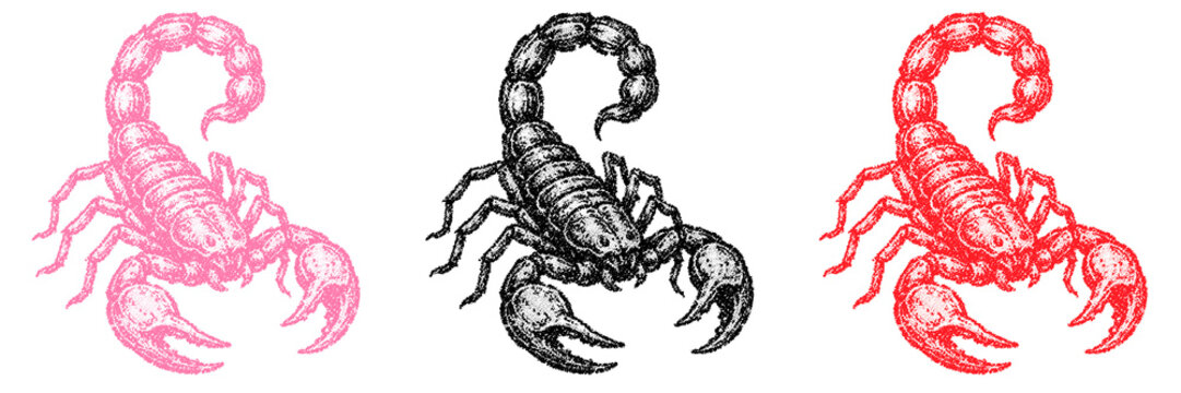 Halftone stipple scorpions in dotted retro grunge style on transparent background