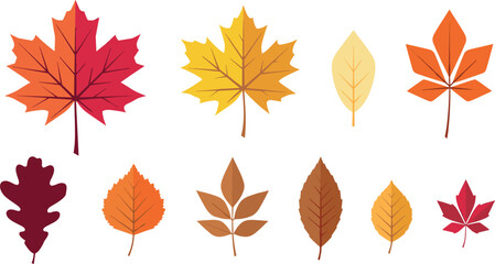 Fototapeta premium Autumn Foliage Leaf Vector Icon Set Featuring Colorful Fall Maple Oak and Chestnut Leaves for Seasonal Thanksgiving Thanksgiving Background and Graphic Designs