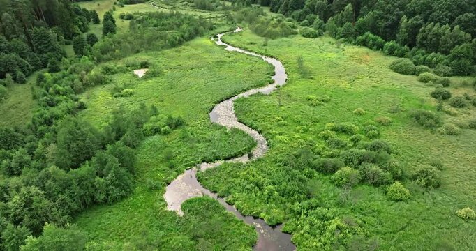 Drone view of curvy river threading through green summer forest.