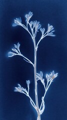 Obraz premium Ethereal blue floral silhouette on dark background, perfect for mobile wallpaper.