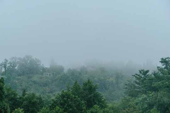 Misty rural landscape with lush green trees and houses veiled in dense fog