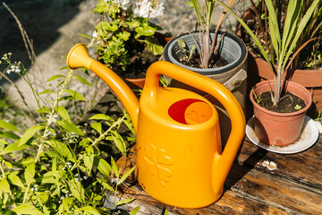 Watering can in a garden surrounded by green plants and flowers © Fox Bread