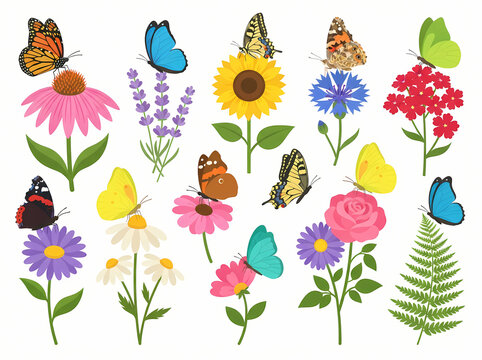 A collection of colorful hand drawn flowers and butterflies on a white background.