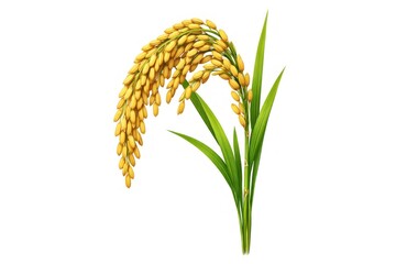 Obraz premium Illustration of ripe rice plant with green leaves.