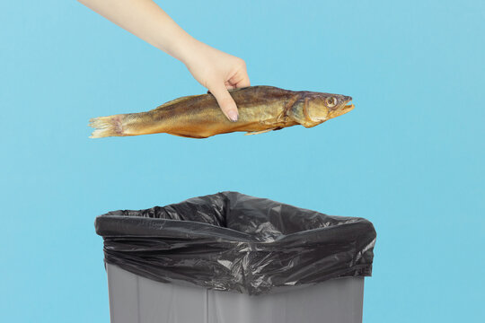 Hand throwing smoked zander fish into trash bin, concept of food waste, spoiled product disposal or vegetarianism