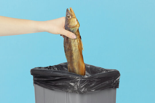 Hand throwing smoked zander fish into trash bin, concept of food waste, spoiled product disposal or vegetarianism