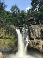 Tegenungan Waterfall cascading through lush tropical jungle rocks in Bali, Indonesia © Meridian Imagery