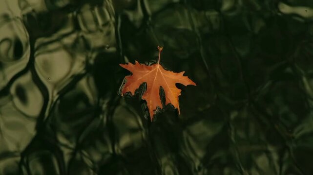 A brownish-orange leaf floating calmly on the surface of the water, which is rippling and undulating with dark reflections of light.