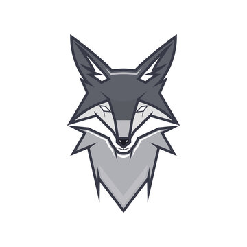 Fox head esport logo design, Grey predator emblem vector template