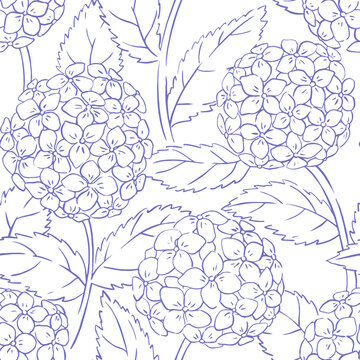 Seamless pattern with hydrangea flowers. Vector illustration in sketch style.