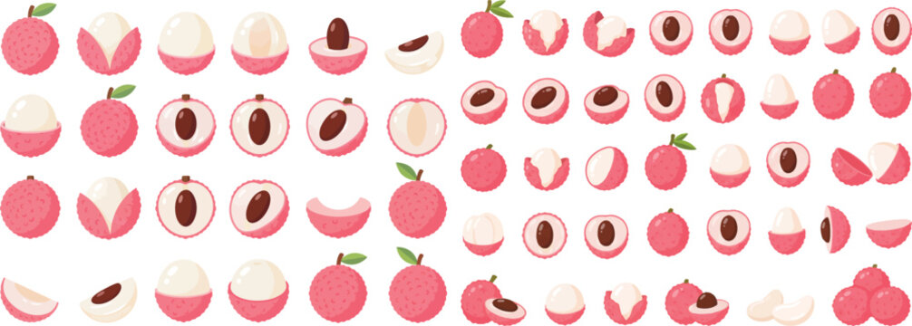 Lychee fruit collection a vector illustration with whole and halved specimens rambutan longan tropical sweet