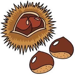 栗のイラスト　手描き風　秋の食べ物　旬 © Kyuvision