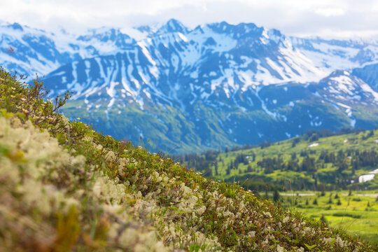Mountains in Alaska