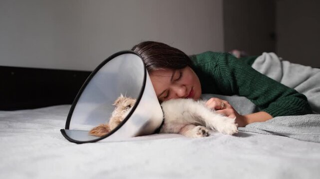 Young woman cuddles and gently strokes Jack Russell after leg surgery. They rest together on bed while cone collar frames tender recovery care.
