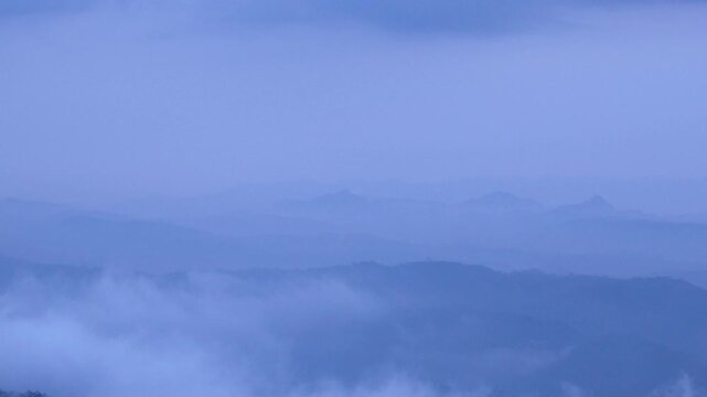 Atmospheric low-lying mist and clouds rolling over lush green rolling hills of Munnar tea plantations in the Western Ghats, Kerala during blue hour twilight.