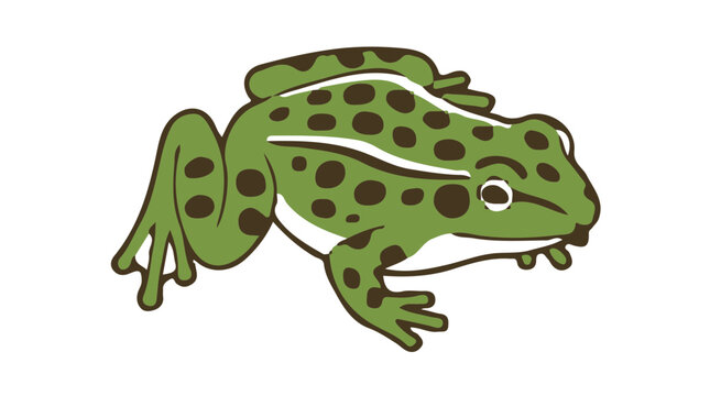 Northern Leopard Frog Create A Clea isometric vector icon clean minimal design