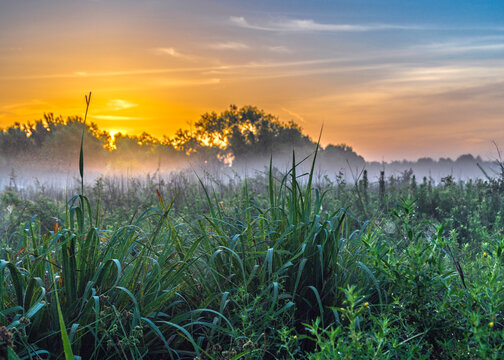 The Sun rising for another very hot day in Pearland, Texas