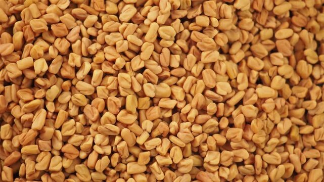 Close up cinematic view of fenugreek seeds slowly rotating creating a textured background pattern