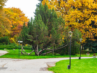Autumn park with colorful trees, green lawns, winding pathways and decorative street lamps. Ideal for nature, landscaping, tourism, travel, seasonal and outdoor recreation themes. © Ana