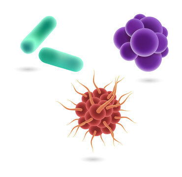 Microscopic bacteria and virus cells isolated on a transparent background