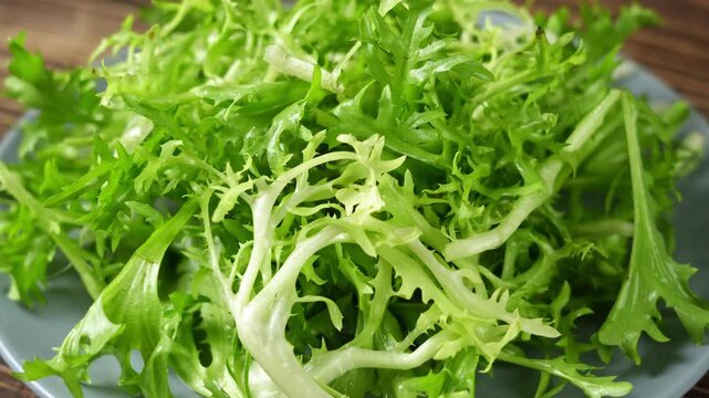 closeup of fresh endive vegetable