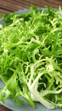 closeup of fresh endive vegetable