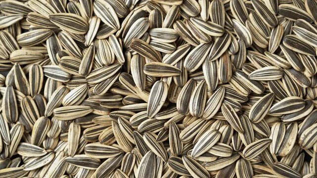 Close up view of sunflower seeds texture background