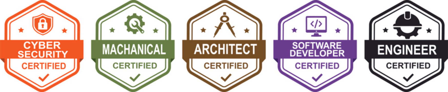 Professional certification badges set, 5 colorful hexagon labels for cyber security and engineering, architect and software developer icons on transparent background