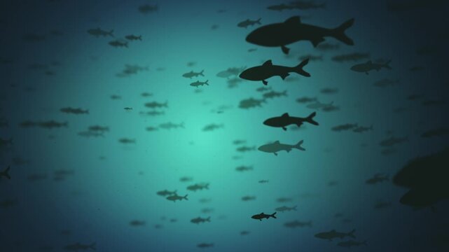 Fishes Silhouettes Passing Underwater Background
Nature animation background of fishes swimming into ocean with depth of field