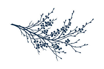 Obraz premium Elegant dark blue winter branch with berries illustration vector on isolated white background