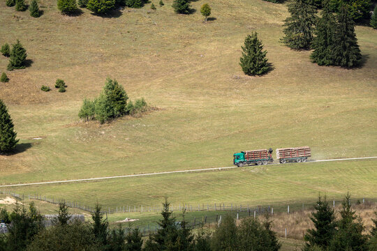 Heavy timber truck loaded with fresh cut wooden logs drives along a scenic rural mountain road through rolling green hills on a sunny day in the countryside.
