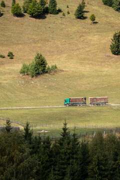A heavy green logging truck loaded with cut pine timber travels along a dirt mountain road through scenic pastoral hills and evergreen forests in warm sunlight.