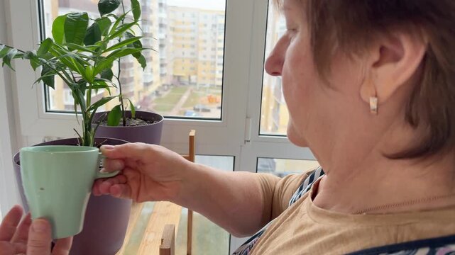 Close up of elderly woman hand watering potted houseplants with small green watering can