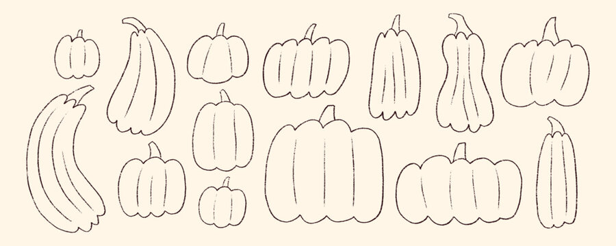 Crayon Line Sketch Halloween Pumpkin Set. Cute Outline Fall Thanksgiving Pumpkins Doodle Kit. Scribble Sketch Gourd Food Harvest Collection. Hand Drawn Organic Vector Illustration
