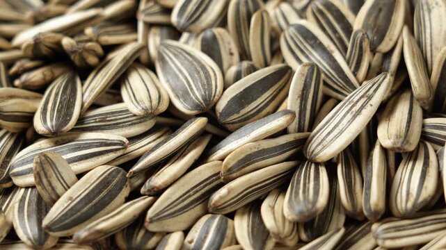 Close up view of sunflower seeds texture background