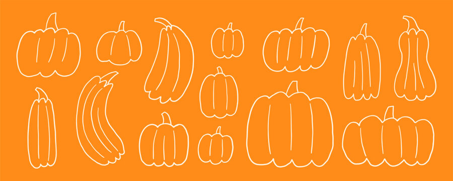 Doodle Line Orange Thanksgiving Pumpkin Set. Cute Outline Fall Halloween Pumpkins Kit. Simple Gourd Food Harvest Collection. Handdrawn Organic Vector Contour Illustration